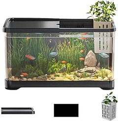 Todo lo que necesitas saber para comprar tu primer acuario