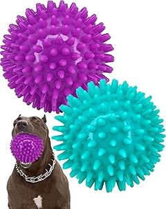Cómo Elegir las Mejores Pelotas para Perros: Guía de Compra