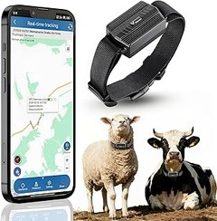 Cómo instalar un collar GPS para perros: Guía paso a paso