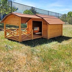 Cómo Elegir la Caseta Ideal para Tu Perro Grande