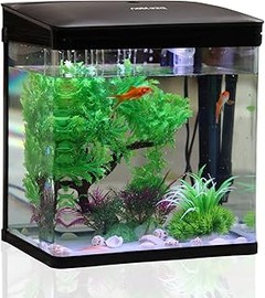 La Guía Definitiva para Iluminar tu Acuario como Principiante