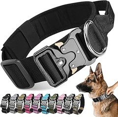 Cómo Utilizar Correctamente los Collares de Entrenamiento para Perros