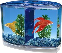 Peceras para bettas