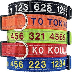 Cómo cuidar y mantener los collares personalizados para tus mascotas