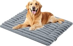 Cómo limpiar y mantener camas para jaulas de perros: Consejos útiles