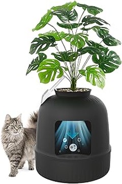 Comparativa de los mejores areneros con filtro de carbón para gatos