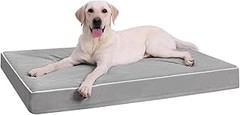 Las mejores camas impermeables para perros pequeños que puedes comprar