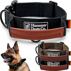 Comparativa de los mejores collares para perros grandes