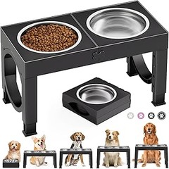 Comederos ideales para perros pequeños con problemas de salud