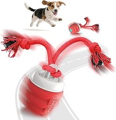¿Cuáles son los mejores juguetes interactivos para perros?