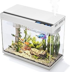 ¿Cuáles son los mejores peces tropicales para acuarios pequeños?