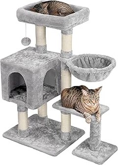 Los rascadores más recomendados para gatos pequeños en 2023