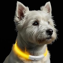 Reseñas y opiniones de collares luminosos para perros