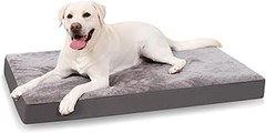 Precios y mejores lugares para comprar camas para jaulas de perros
