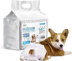 Solución a los problemas comunes al utilizar pañales para perros