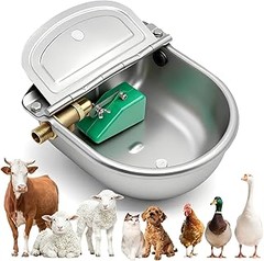 Solucionando problemas comunes en bebederos automáticos para mascotas