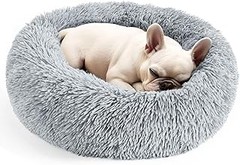 Problemas Frecuentes al Elegir Camas para Perros Pequeños