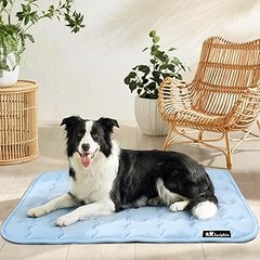 Problemas que surgen al utilizar camas refrescantes para perros