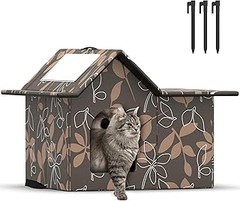 Principales Problemas con Casetas para Gatos de Exterior