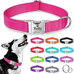 Problemas frecuentes al usar collares personalizados en mascotas