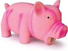 Errores frecuentes al usar juguetes con sonido para mascotas
