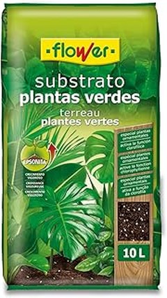 Problemas Frecuentes con Sustratos en Acuarios y Cómo Solucionarlos