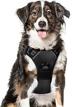 Guía para elegir el tamaño adecuado de arnés para perros grandes