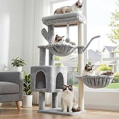 Cómo los rascadores económicos afectan el comportamiento de los gatos