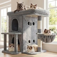 Rascadores y muebles para gatos
