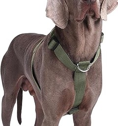 Peligros de un arnés inadecuado para perros grandes