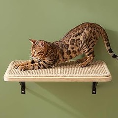 La importancia de los muebles trepadores para gatos: ¿son realmente necesarios?