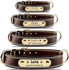 Descubre los diferentes tipos de collares personalizados para mascotas