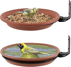 Descubre los tipos de comederos para pájaros y cómo utilizarlos