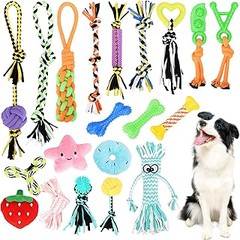 Cómo elegir juguetes para perros según su personalidad