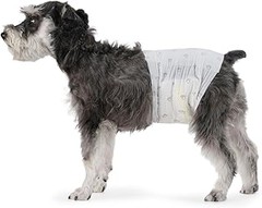 ¿Qué son los pañales para perros y por qué deberías usarlos?