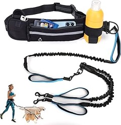 ¿Por qué elegir correas reflectantes para tu perro?