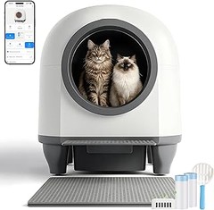 Beneficios de usar un arenero autolimpiable para tu gato