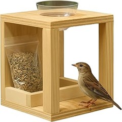 ¿Por qué deberías utilizar comederos para pájaros?