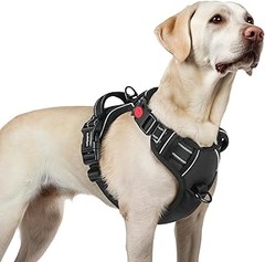 Ventajas y desventajas de usar arneses antitirones en perros