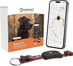 Pros y contras de usar un collar GPS para perros