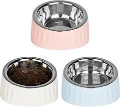 Pros y Contras de Usar Comederos de Acero Inoxidable para Mascotas