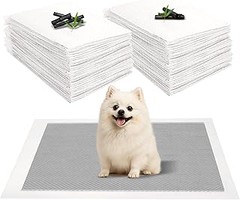 Pros y contras de utilizar empapadores para perros