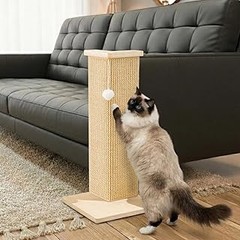 Pros y contras de los rascadores de esquina para gatos