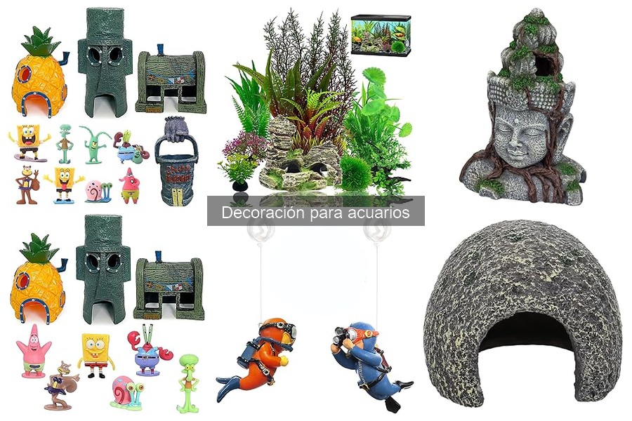 Accesorios decorativos populares para acuarios: ¡dale vida a tu pez!