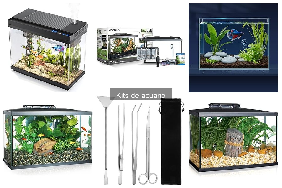 Accesorios esenciales para mejorar tu kit de acuario