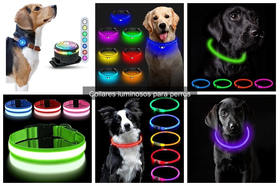 Accesorios ideales para collares luminosos de perros