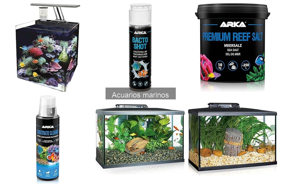 Accesorios imprescindibles para acuarios marinos