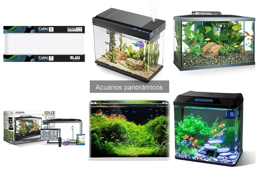 Accesorios imprescindibles para acuarios panorámicos