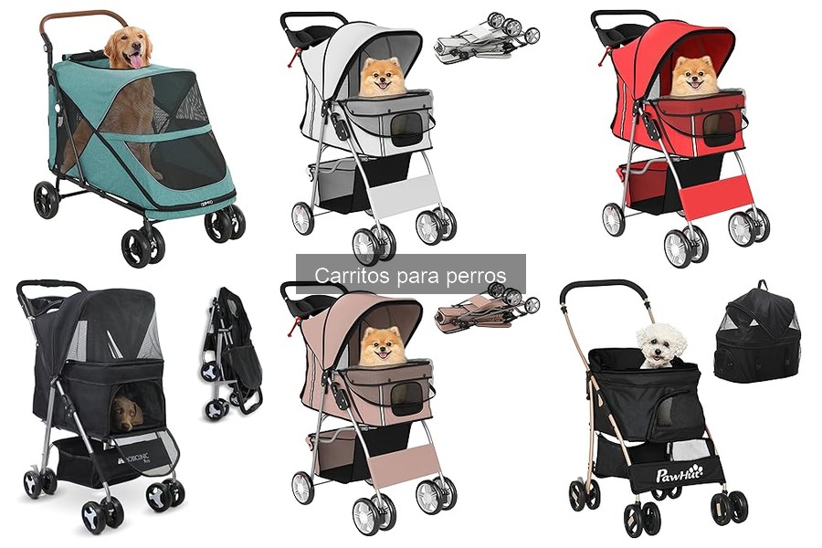 Accesorios imprescindibles para carritos de perros