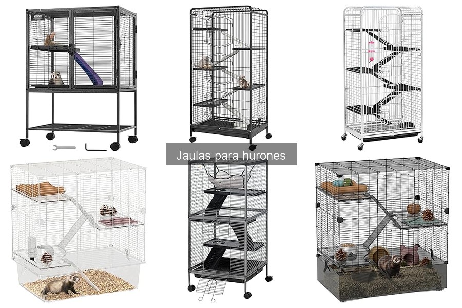 Accesorios imprescindibles para jaulas de hurones
